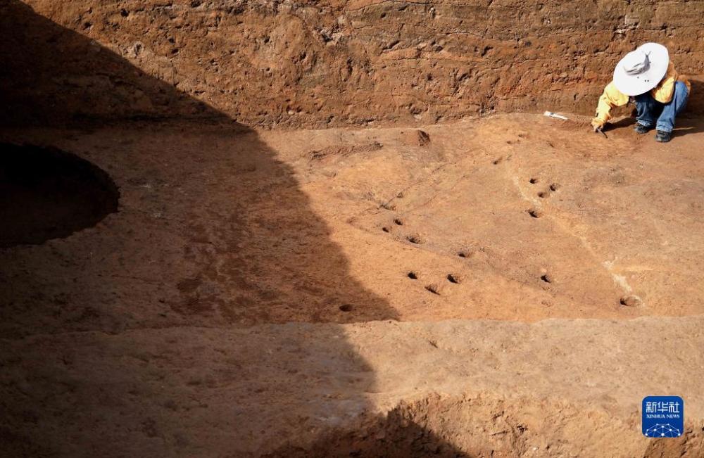 河南發(fā)現距今5000年的大墓遺址，揭示古代文明的寶藏