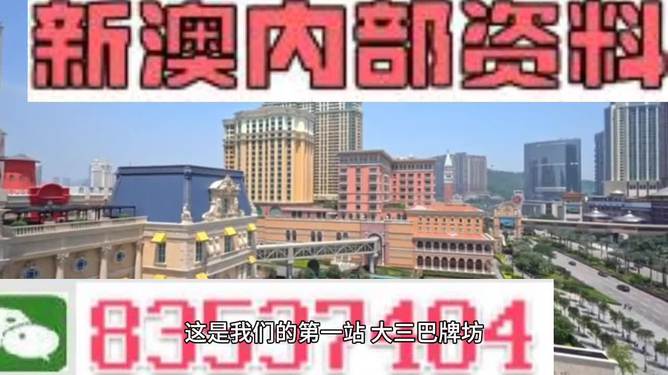 新澳門(mén)資料大全正版資料2024，數(shù)據(jù)導(dǎo)向?qū)嵤┎襟E_進(jìn)階款47.9.65