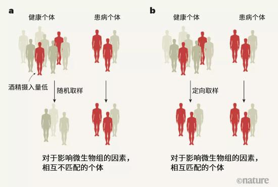 探索人體奧秘的新領域，最新窩窩人體研究揭秘人體奧秘