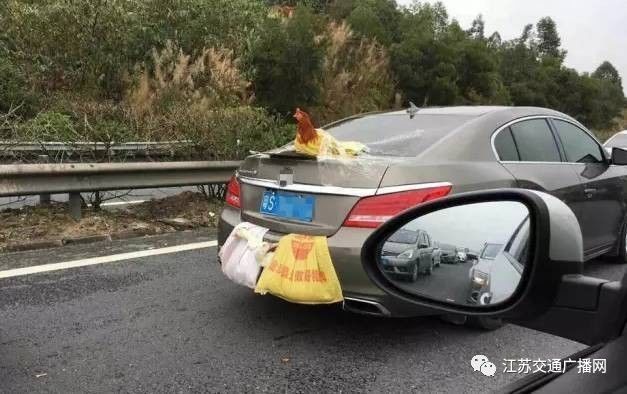 車主高速遇陪跑伙伴，雙閃告別顯真情