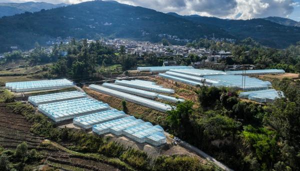 鳳慶縣概覽，最新消息與概述