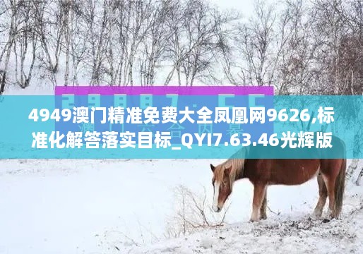 4949澳門(mén)精準(zhǔn)免費(fèi)大全鳳凰網(wǎng)9626,標(biāo)準(zhǔn)化解答落實(shí)目標(biāo)_QYI7.63.46光輝版