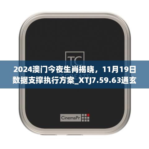 2024澳門今夜生肖揭曉，11月19日數(shù)據(jù)支撐執(zhí)行方案_XTJ7.59.63通玄境