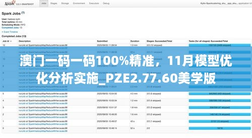 澳門一碼一碼100%精準，11月模型優(yōu)化分析實施_PZE2.77.60美學版