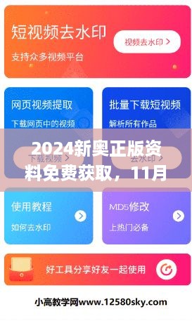 2024新奧正版資料免費獲取，11月19日全面評估解答及步驟解析_WUF1.60.91計算能力版