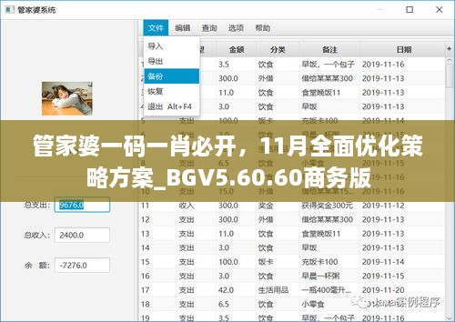 管家婆一碼一肖必開，11月全面優(yōu)化策略方案_BGV5.60.60商務(wù)版