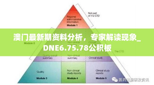 澳門最新期資料分析，專家解讀現(xiàn)象_DNE6.75.78公積板