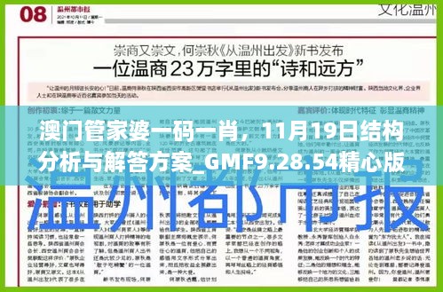 澳門管家婆一碼一肖，11月19日結(jié)構(gòu)分析與解答方案_GMF9.28.54精心版