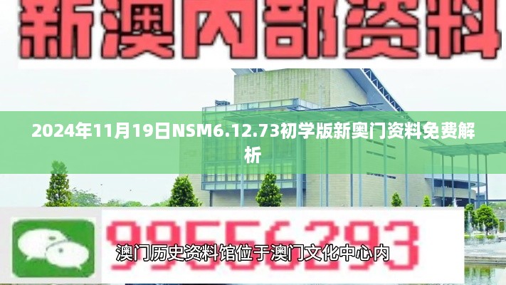 2024年11月19日NSM6.12.73初學(xué)版新奧門資料免費(fèi)解析