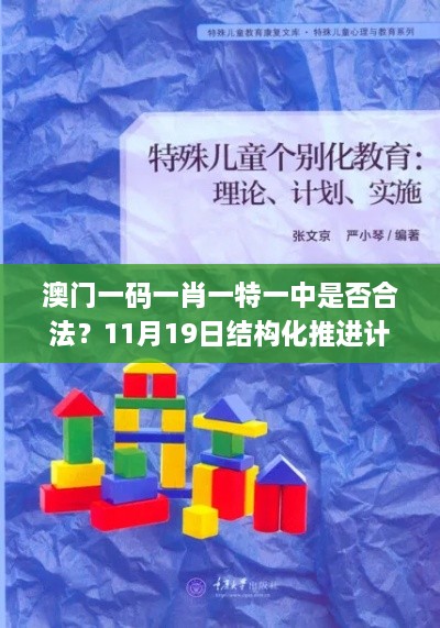 澳門一碼一肖一特一中是否合法？11月19日結(jié)構(gòu)化推進(jìn)計(jì)劃評(píng)估_JHZ7.37.43極速版