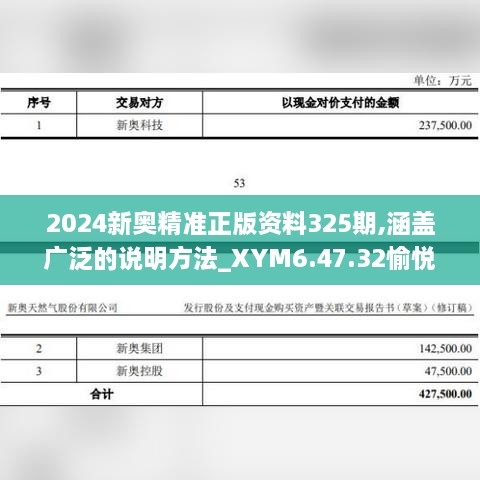 2024新奧精準正版資料325期,涵蓋廣泛的說明方法_XYM6.47.32愉悅版