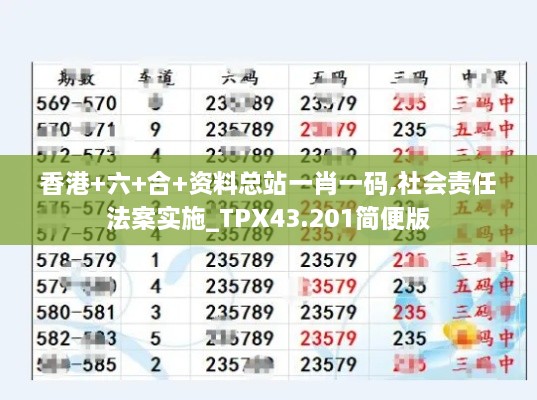 香港+六+合+資料總站一肖一碼,社會責(zé)任法案實(shí)施_TPX43.201簡便版