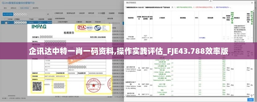 企訊達中特一肖一碼資料,操作實踐評估_FJE43.788效率版