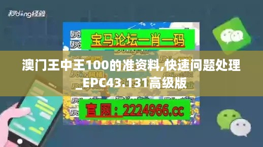 澳門王中王100的準資料,快速問題處理_EPC43.131高級版