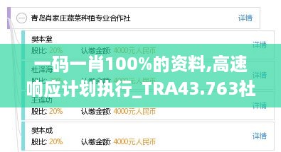 一碼一肖100%的資料,高速響應(yīng)計劃執(zhí)行_TRA43.763社區(qū)版