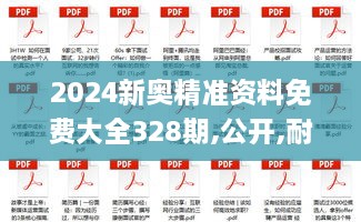 2024新奧精準(zhǔn)資料免費大全328期,公開,耐心落實解釋解答_JNO9.11