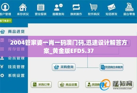 2004管家婆一肖一碼澳門碼,迅速設計解答方案_黃金版EFD5.37