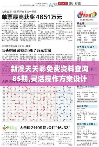 新澳天天彩免費資料查詢85期,靈活操作方案設(shè)計_時尚版YNL5.46