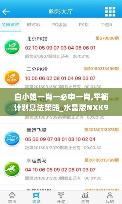 白小姐一肖一必中一肖,平衡計劃息法策略_水晶版NXK9.79