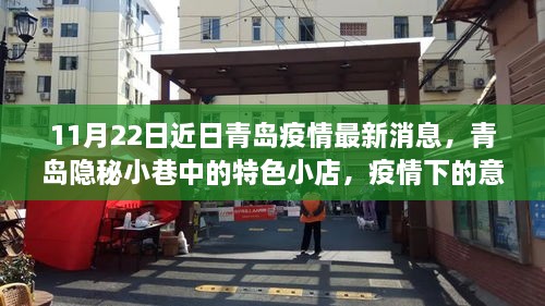 青島隱秘小巷特色小店，疫情下的意外驚喜與最新消息（11月22日更新）