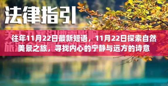 11月22日，自然美景之旅，探尋內心的寧靜與詩意遠方