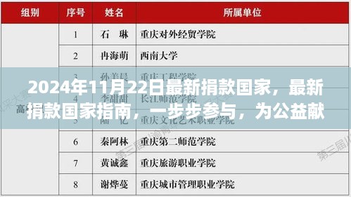 2024年11月最新版捐款指南，如何一步步參與公益貢獻(xiàn)力量