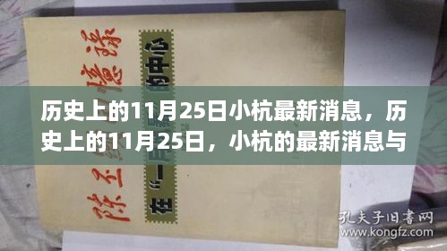 歷史上的11月25日，小杭的最新消息與深遠影響揭秘