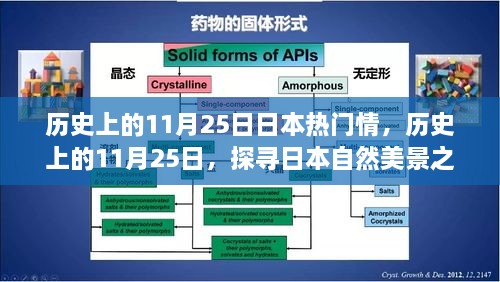 探尋日本自然美景之旅，歷史上的11月25日與日本情感之旅的寧靜與平和