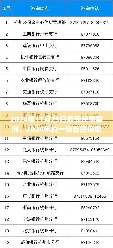 民事案例背后的心靈之旅，自然探索之旅的啟示（2024年最新案例）