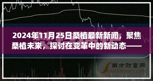 變革中的新動(dòng)態(tài)，聚焦桑植未來——2024年11月25日桑植最新新聞視角