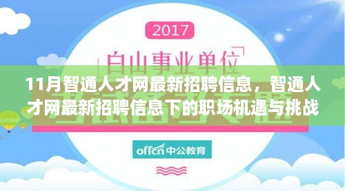 11月智通人才網(wǎng)最新招聘信息，職場(chǎng)機(jī)遇與挑戰(zhàn)一覽