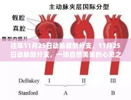 往年11月25日動脈最新分支，11月25日動脈新分支，一場自然美景的心靈之旅