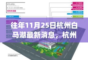 往年11月25日杭州白馬湖最新消息，杭州白馬湖，十一月二十五日的最新篇章