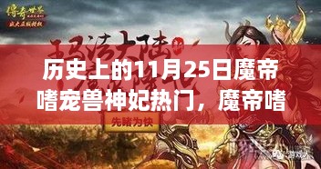 魔帝嗜寵獸神妃，深度測評與介紹——歷史上的11月25日熱門話題