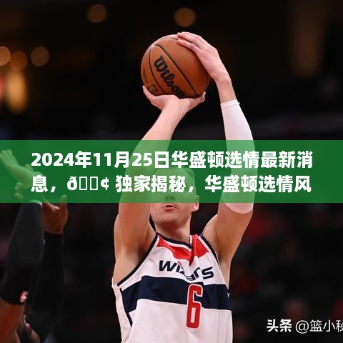 2024年11月25日華盛頓選情最新消息，?? 獨(dú)家揭秘，華盛頓選情風(fēng)云變幻，最新消息一網(wǎng)打盡！?? 2024年11月25日選情深度解析