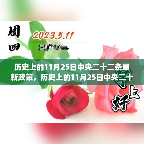 歷史上的11月25日中央二十二條最新政策，歷史上的11月25日中央二十二條最新政策深度解讀