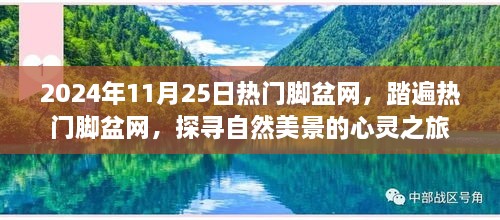 探尋自然美景的心靈之旅，熱門腳盆網(wǎng)之旅（2024年11月25日）