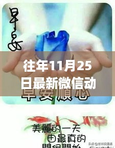 往年11月25日精選微信動(dòng)態(tài)圖片匯總，最新圖片概覽