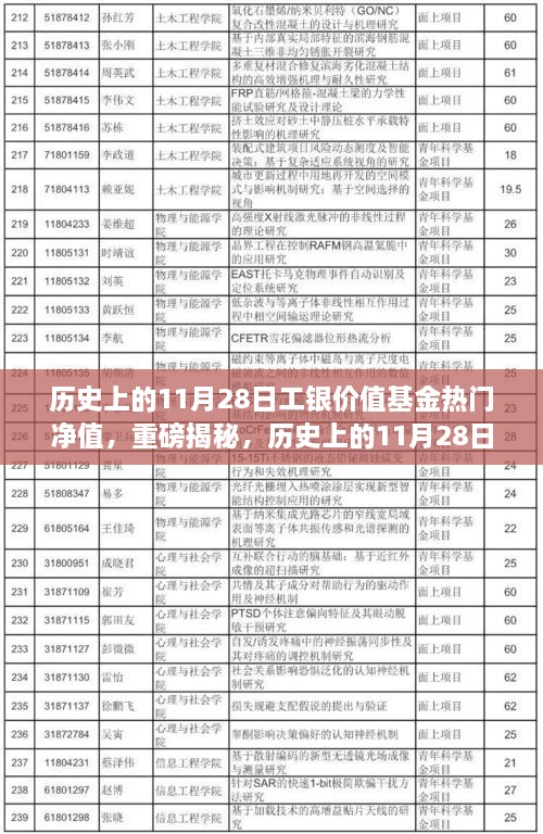 揭秘，歷史上的工銀價(jià)值基金凈值飆升背后的故事——聚焦11月28日熱門凈值日解密