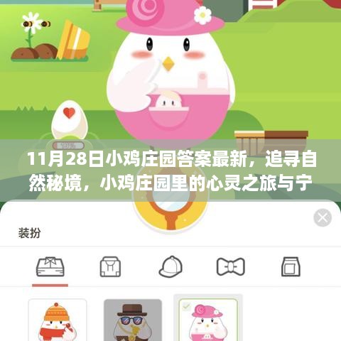 11月28日小雞莊園答案最新，追尋自然秘境，小雞莊園里的心靈之旅與寧靜的擁抱