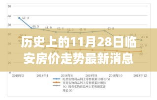 歷史上的11月28日臨安房價走勢深度解析，背景、事件與地位及其最新消息