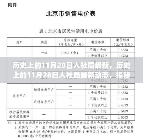 揭秘歷史上的11月28日人社局最新動態(tài)，改變未來的重要時刻回顧