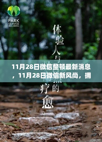 微信整頓新動態(tài)，啟程心靈之旅，擁抱自然新風(fēng)尚