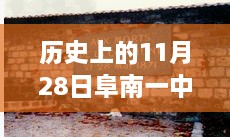 阜南一中歷史時(shí)刻下的勵(lì)志篇章，最新事件回顧與校園之光