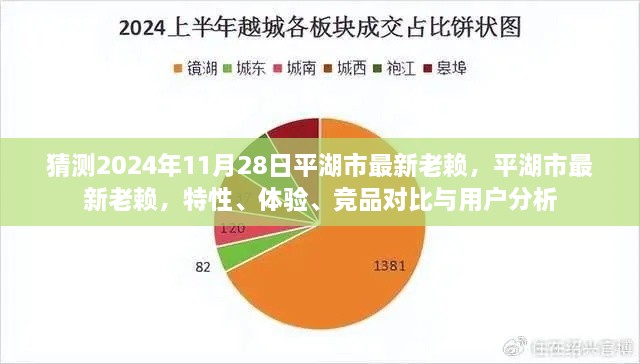 平湖市最新失信人員解析，特性、體驗(yàn)、競(jìng)品對(duì)比與用戶洞察（預(yù)測(cè)至2024年11月）