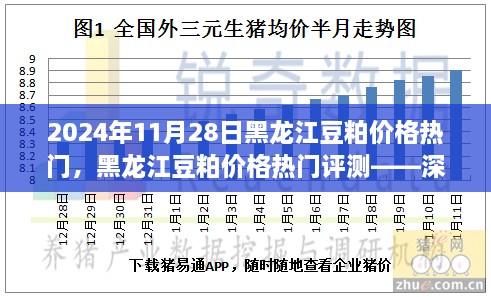 黑龍江豆粕價(jià)格熱門解析，深度剖析豆粕特性、用戶體驗(yàn)與目標(biāo)用戶群體分析報(bào)告