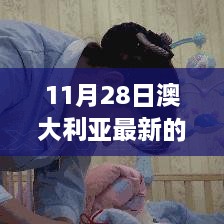 11月28日澳大利亞最新的政策，澳大利亞新政策啟航日，變化中的學(xué)習(xí)，自信與成就感的源泉