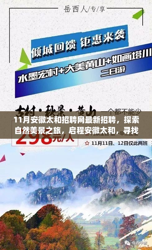 安徽太和最新招聘啟幕，探索自然美景之旅，啟程尋找內(nèi)心寧?kù)o與和諧