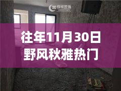 往年11月30日野風秋雅熱門房價，野風秋雅深處的寶藏，揭秘隱藏在小巷中的特色小店與往年熱門房價盛景