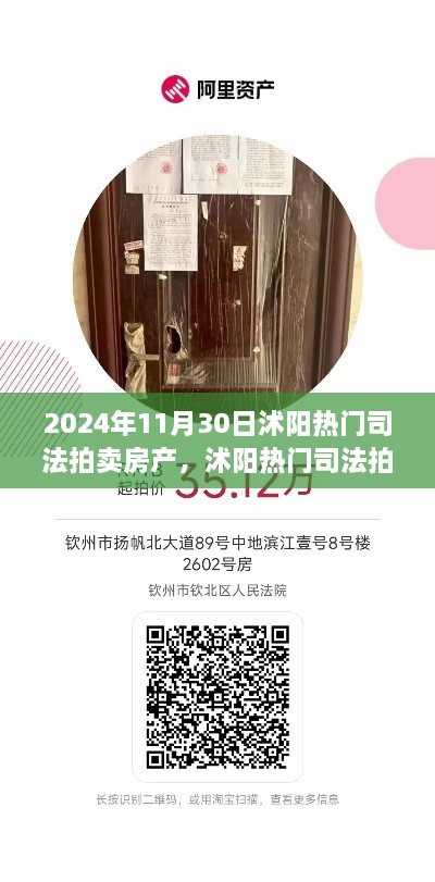 2024年11月30日沭陽(yáng)熱門司法拍賣房產(chǎn)搶拍指南，最新房源大揭秘